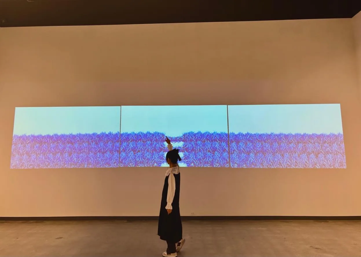 Threads of Becoming, installation view